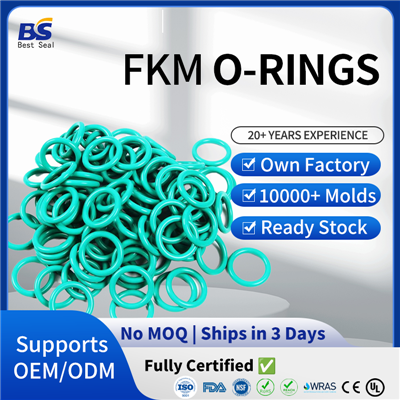 Viton Rubber O Cincin